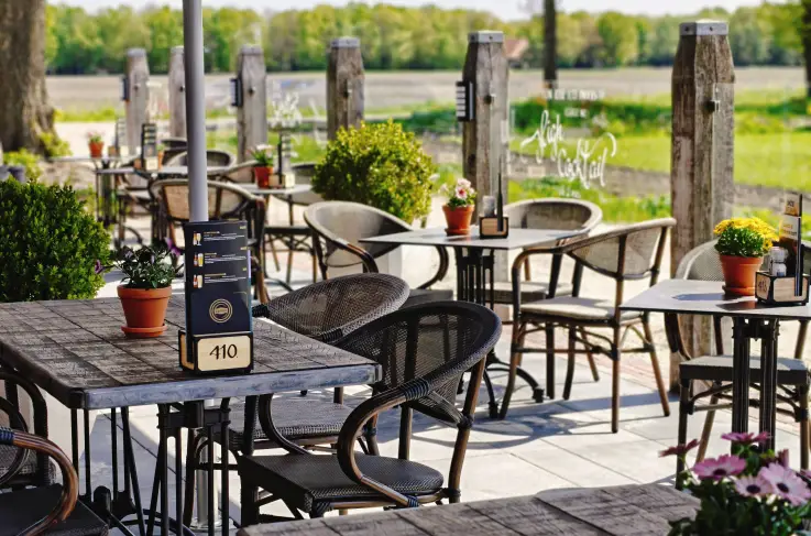Terras