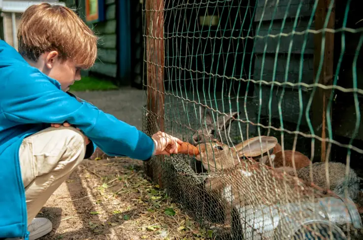 Kinderboerderij