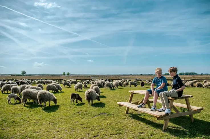 Omgeving