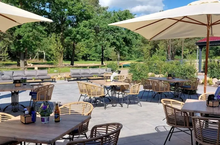 Terras
