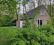 Meerkoet 8