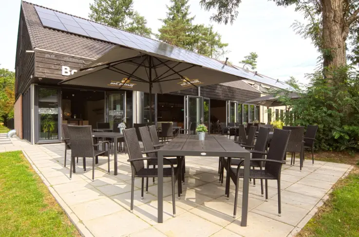 Terras