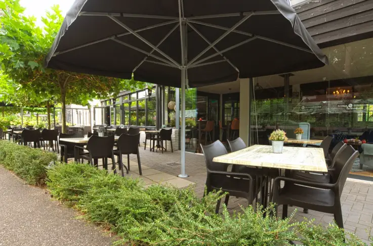 Terras