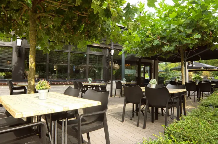 Terras