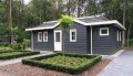 Dotterbloem 6