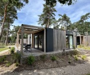 Domus 4