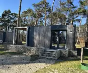 Domus 4 2