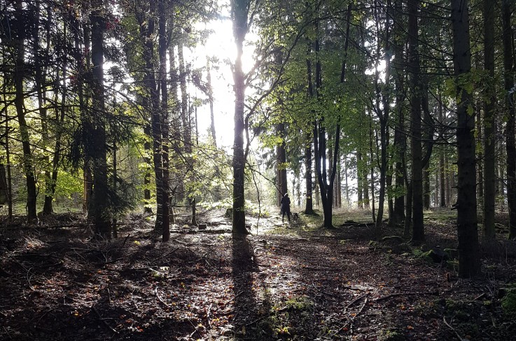 Omgevingsfoto Sauerland