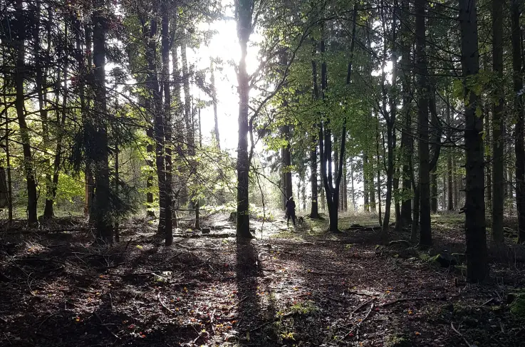 Omgevingsfoto Sauerland