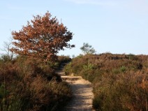 Fletcher Hotel-Restaurant De Kempen