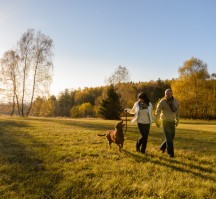 Hotel am Park Stadtkyll (Algemeen)