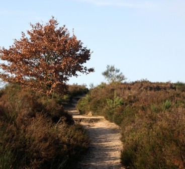 3* Fletcher De Kempen, Reusel