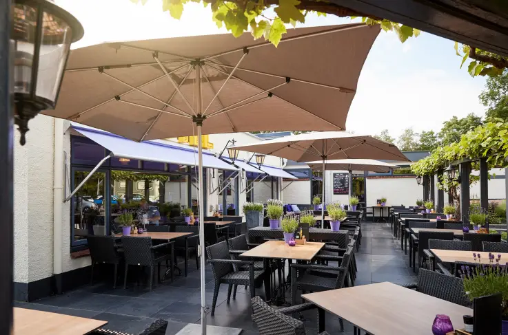 Terras