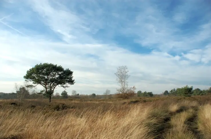 Omgeving