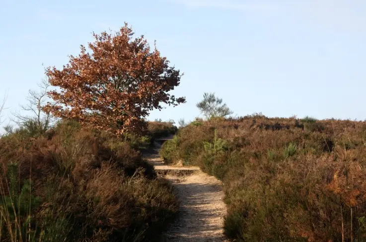 Omgeving