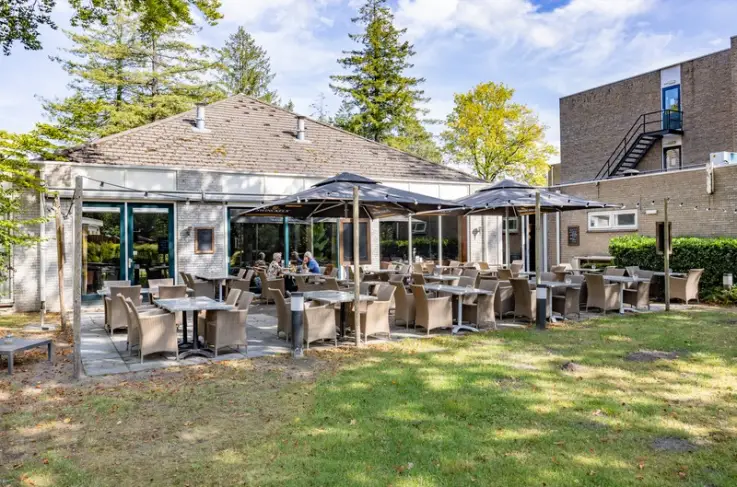 Terras
