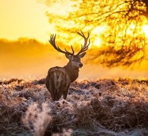 Fletcher Hotel-Restaurant De Klepperman (Algemeen)