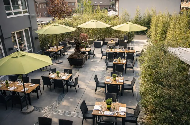 Terras