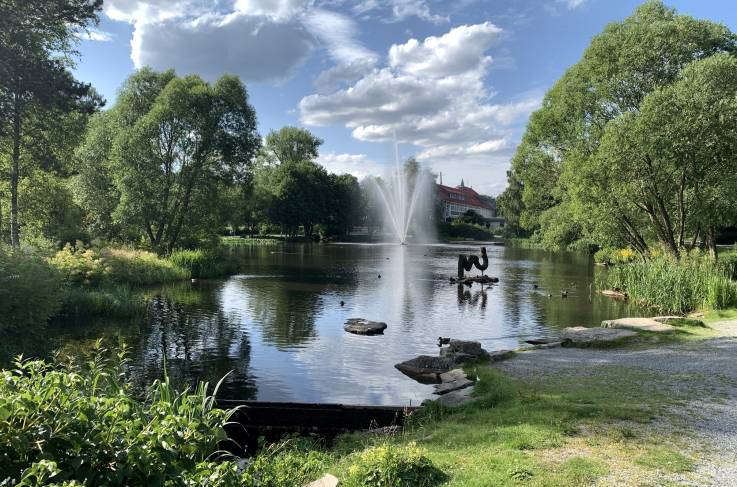 Omgevingsfoto