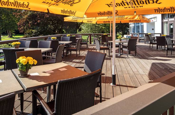 Terras