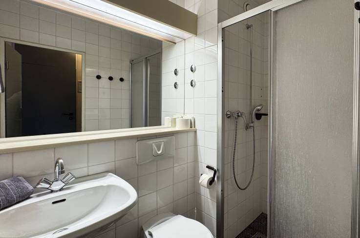 Standaard Tweepersoonskamer met balkon badkamer