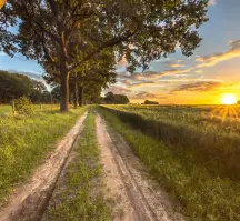 Fletcher Wellness-Hotel De Hunzebergen (Drenthe)