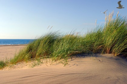 Fletcher Hotel-Restaurant Jan van Scorel