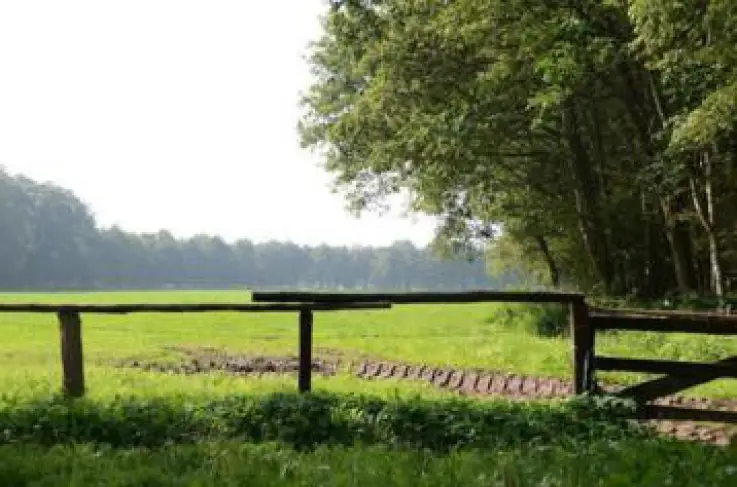 Omgeving