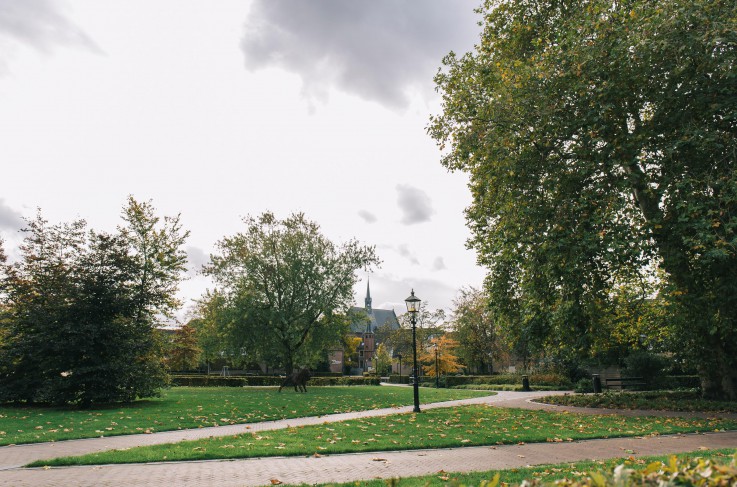 Omgeving - Harderwijk