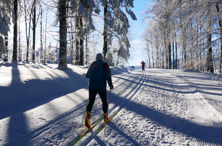 Hotel Hesborner Kuckuck - Omgeving