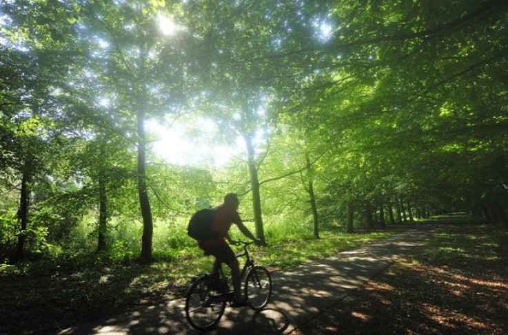 Fletcher Landgoed Hotel Renesse - Omgeving