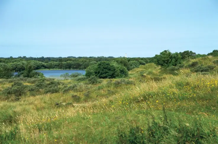 Omgeving