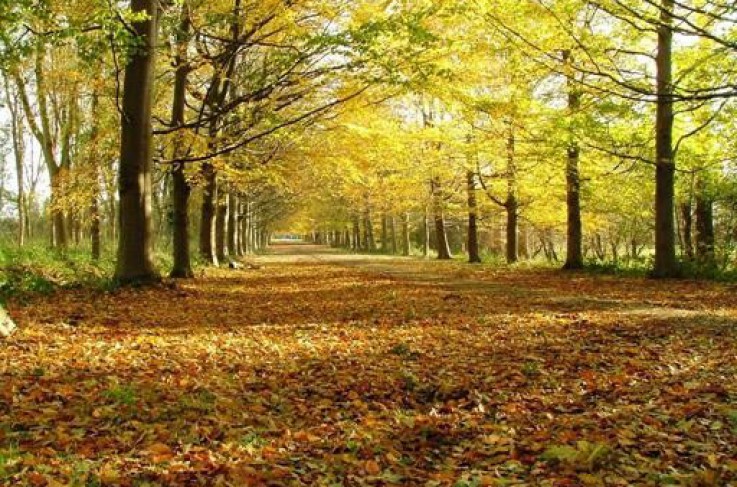 Fletcher Landgoed Hotel Renesse - Omgeving