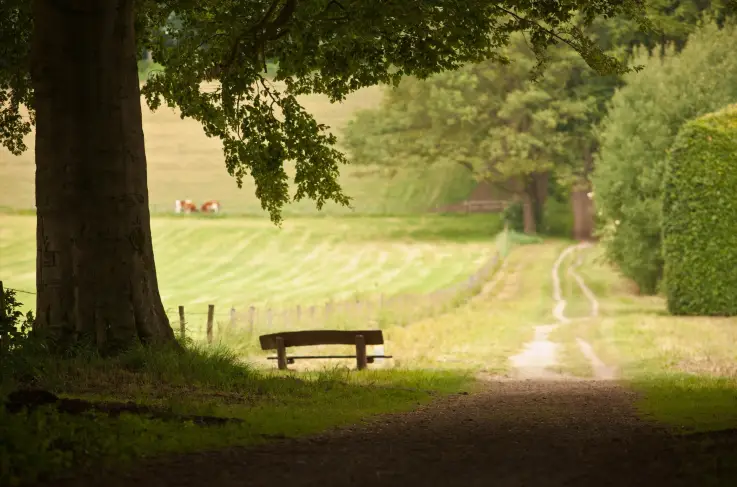 Omgeving