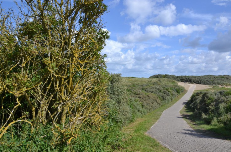 Fletcher Hotel-Restaurant Duinzicht- Omgeving