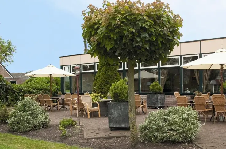 Terras