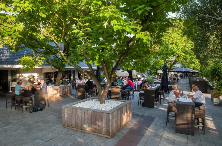 Terras