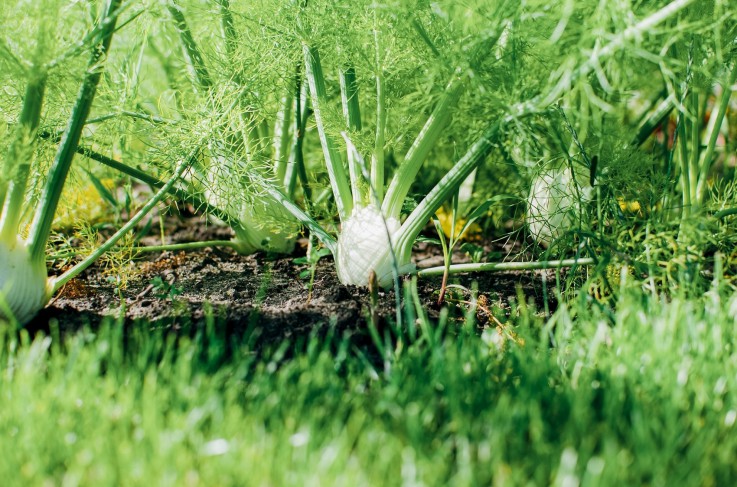 Van der Valk Hotel Apeldoorn - De Cantharel