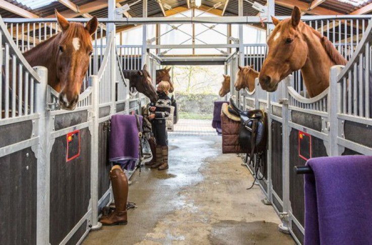 Van der Valk Hotel Apeldoorn - De Cantharel - Paardenhotel