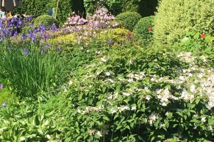 Hoteltuin