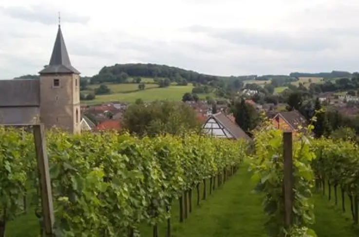 Omgeving