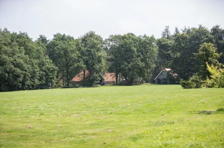 Omgeving