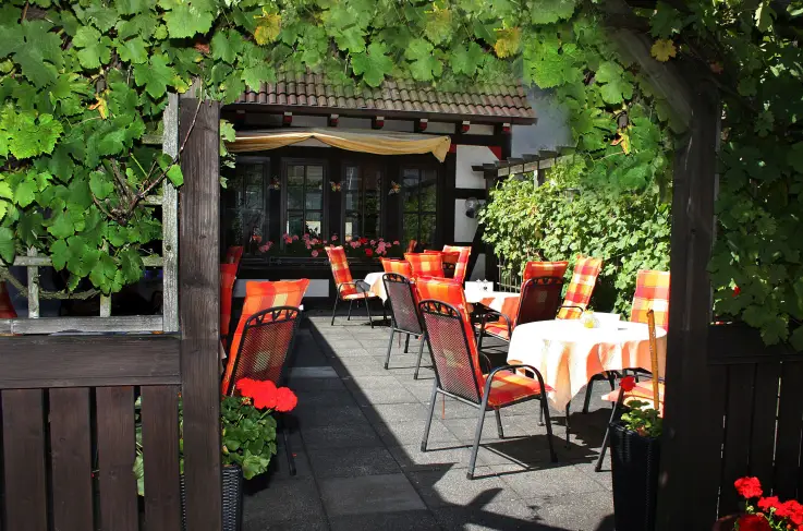 Terras
