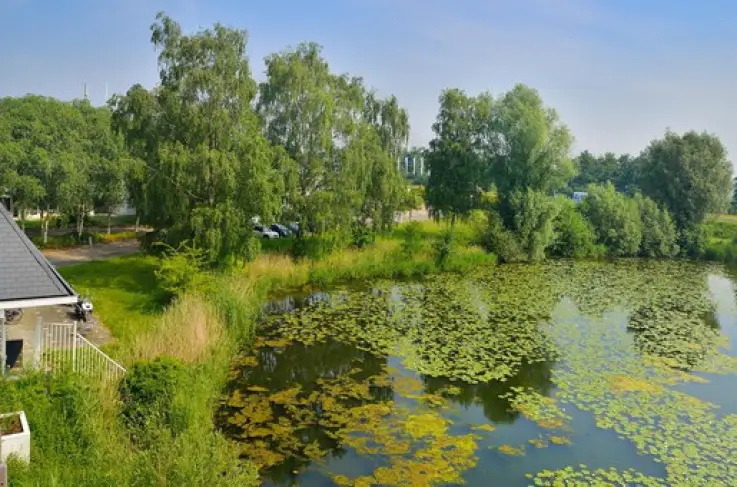 Omgeving