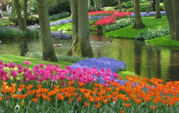 Keukenhof