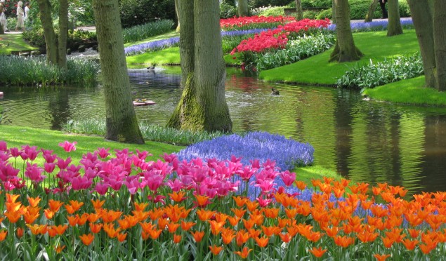 Keukenhof