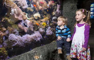 2 dagen incl. SEA LIFE Familiekamer